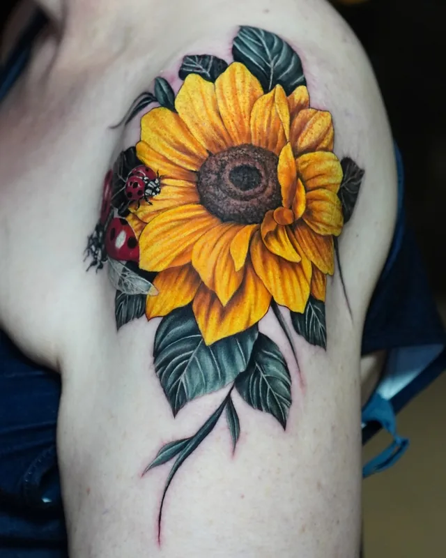 Colour realism sunflower with leaves on the shoulder