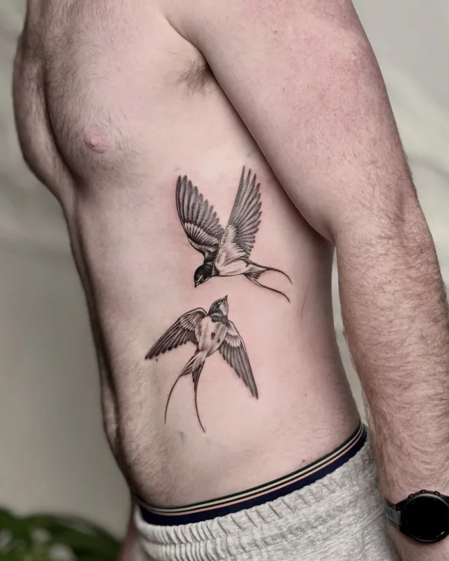 Two fine line swallows in flight on the ribs