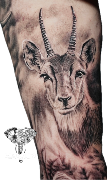 Tattoo Style Deer Antelope Realism