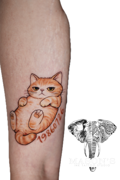 Realism Color Tattoo Style Cat and Script