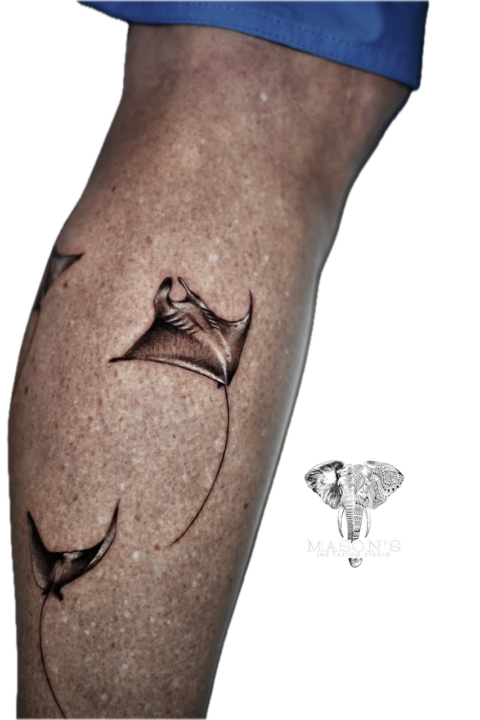 Realism Manta Ray Artwork Tattoo Design