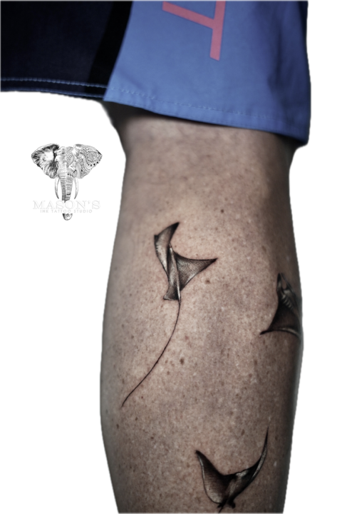 Realism Manta Ray Tattoo Design
