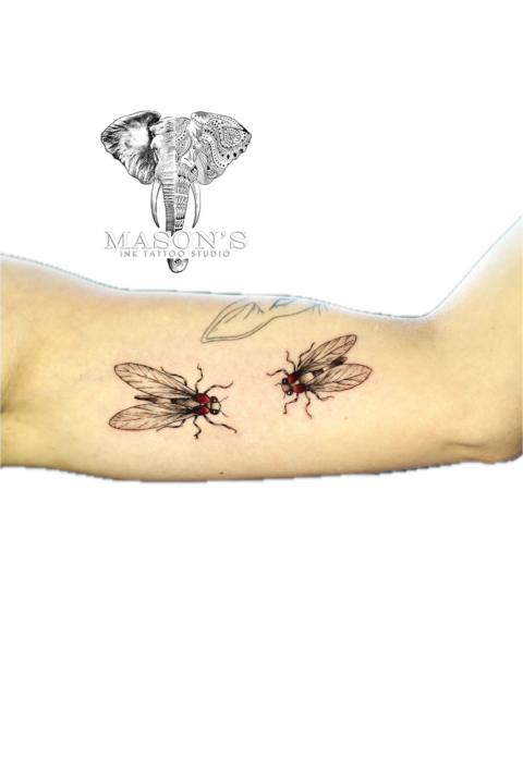 Black and Grey Fly Tattoo Design